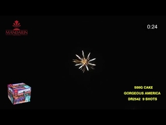 9 Shots 500G Consumer Cake Fireworks Outdoor For Birthday