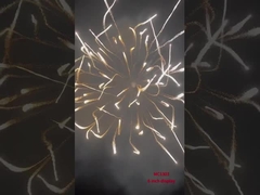 Профессиональный дисплей Фейерверк Минометная артиллерия Оружейные снаряды Пиротехнические принадлежности 6-дюймовые снаряды