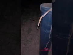 Китайские профессиональные фейерверки для празднования Нового года 6 дюймовые шариковые витрины