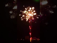 Фейерверки пиротехники Liuyang 196 специальных эффектов фейерверков торта съемок профессиональных показывают