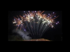 Пиротехника мандарина 1.3g 13 фейерверка строки съемок профессиональных одиночных