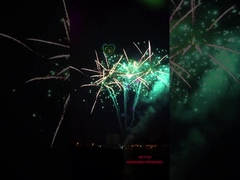 Фейерверки случая китайского большого торта дисплея профессиональные 256 съемок на хеллоуин