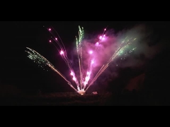 Китайская пиротехника на открытом воздухе 300 выстрелов Профессиональные фейерверки Дисплей 1,3 г Вентилятор