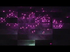 Люян Мандарин Пиротехника 208 выстрелов Профессиональная демонстрация Фейерверк 1,3 г