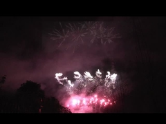 Люян 56 выстрелов Профессиональный фейерверк 1.3g Un0335 Для празднования фестиваля