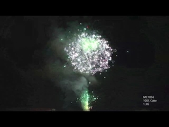 AFSL настраиваемые 100 выстрелов профессиональные пирожные фейерверки для празднования фестиваля