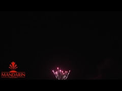 1.3g Un0335 Профессиональный фейерверк / 100 выстрелов Тортовый фейерверк на Новый год