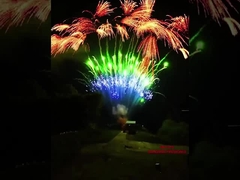 Мандаринский персонализированный потребительский пирог Фейерверк Специальные эффекты 2023