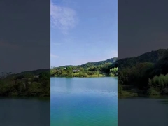 Дневное время 49 фейерверков торта съемок китайских покрасило фейерверки дыма для торжества