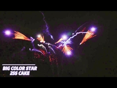 25 выстрелов Пиротехника