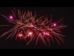 На улице 20 снимков Торт для празднования Пиротехника в форме вентилятора