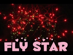 Китайские пиротехнические фейерверки