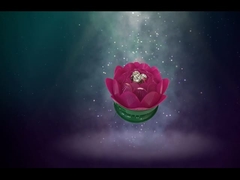 Красивые крутящиеся лотосные фейерверки / Детские игрушки