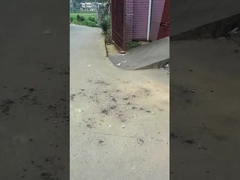 Волшебные шары Игрушечный фейерверк 0.03CBM Защита окружающей среды для праздничных собраний