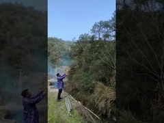 Партия по разоблачению пола Поппер Конфетти Каннон, Холи порошок Каннон для свадьбы