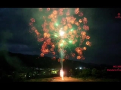 Мандаринские фейерверки 1.3g Un0335 Пиротехника Профессиональный экран Торт Фейерверки на открытом воздухе