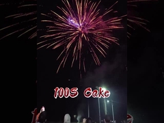 2025 Китайская фабрика 100 выстрелов Фейерверк бумажного торта FAFBWL оптовая пиротехника Новый фейерверк