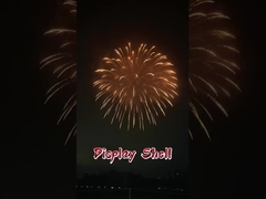 Лиуян высокое качество 1.3G профессиональные минометы пиротехнический экран артиллерия снаряды фейерверки