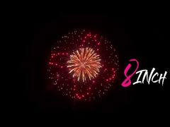 Лиуян Мандарин 1.3G UN0335 Профессиональные дисплейные оболочки Фейерверк 8-дюймовые мортирные артиллерийские снаряды