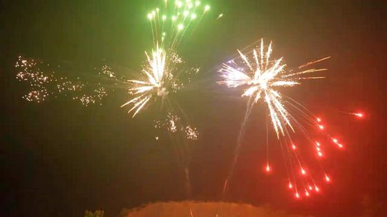 48 Shots Cake Fireworks 1.4g UN0336 with 25*30*200mm Tubes and Customizable Effects for Festivals