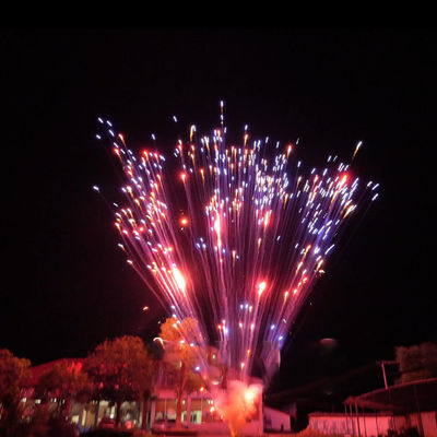 Chinese Factory Fireworks Pyrotechnics 1.2 Inch 24 Shots Cake Fireworks For Celebration 1.4g Un0336 Pyrotechnics