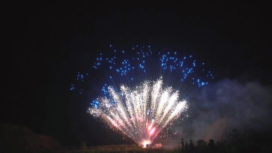 Фейерверки торта Liuyang пиротехники мандарина профессиональные 100 съемок