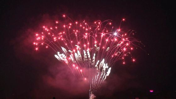 208 кадров Профессиональные пирожные фейерверки для празднования Рождества