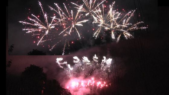 Фейерверк Люян 1.3g Un0335 Пиротехника 56 выстрелов Профессиональный фейерверк 1.3g Для празднования фестиваля