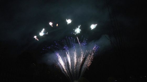 Мандарин показывает 90 съемок салютует фейерверкам торта пиротехники профессиональным для партии
