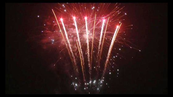 98 фейерверков торта потребителя Petard Нового Года съемок Pyrotechnic подгоняли