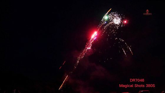 Вертел 380 съемок отбортовывает семью ассортименты пиротехники пакуют фейерверк