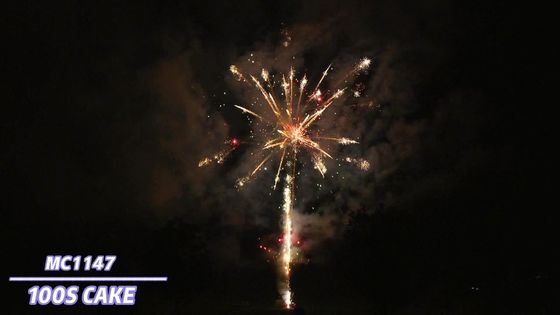 Пиротехника фейерверков торта специальных эффектов Liuyang профессиональная 100 съемок