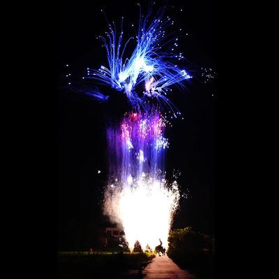 Китайская фабрика на заказ 100 выстрелов пиротехнические пирожные пирожные пирожные для празднования Нового года