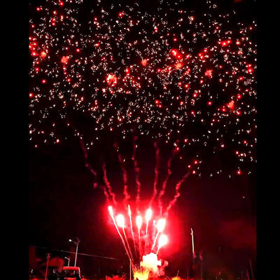 Лиян Fireworks Supplies Мандарин Новые Горячие Фейерверки 56 Выстрелов Салют Уличные Тортовые Батареи Красная Слива Фейерверки Пиротехника