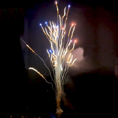 Китайская фабрика на заказ 100 выстрелов Волк рыдает Торт Фейерверк оптом Пиротехника Новый фейерверк на Новый год Рождественская свадьба