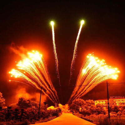 Фабрика Liuyang 1.3G Профессиональный 12 выстрелов Однорядный фейерверк Китайский оптовый фестиваль Новый фейерверк Пиротехника