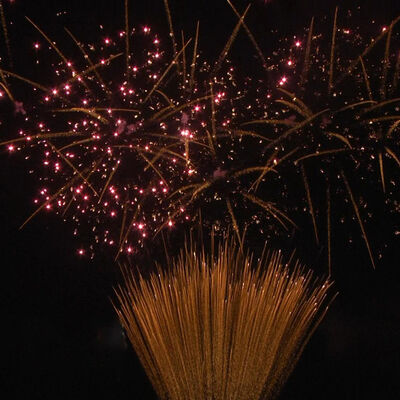 1.2-дюймовый 100-залповый батарейный фейерверк 1.3G Профессиональная пиротехника, сертифицированная UN0335, для праздников на открытом воздухе