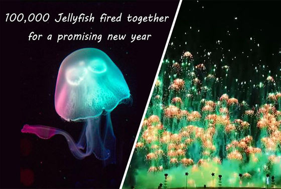 Фейерверки Skyshots новизны потребителя медуз фейерверка игрушки Нового Года Pyrotechnic
